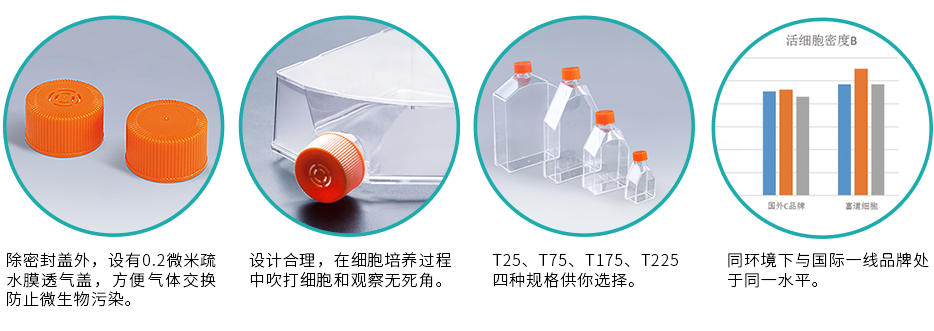 T75细胞培养方瓶特点